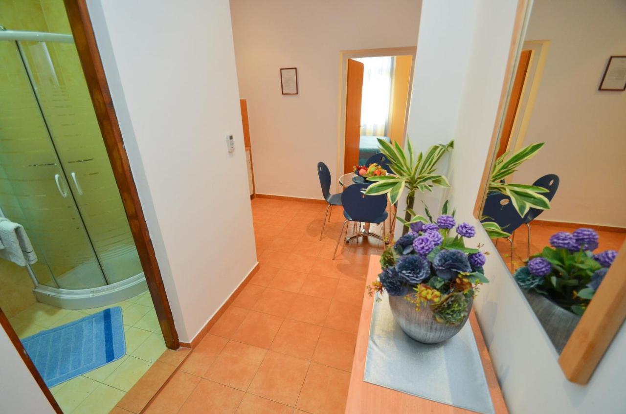 Apartments Vojin Risan Rum bild